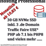 Web Hosting Professional