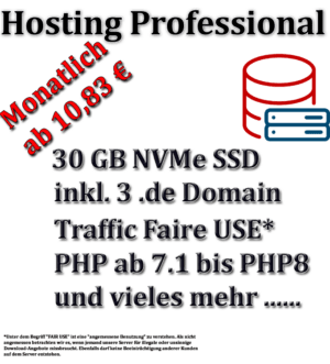 Web Hosting Professional